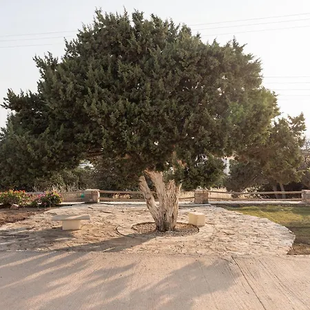 Lägenhet Aurea Blu 01, Sun, And Dreamlike Aliko Beach